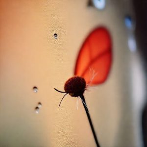 Close-up layar Sharp LED TV 50 Inch yang menampilkan gambar berkualitas tinggi dengan warna yang jernih dan tajam.